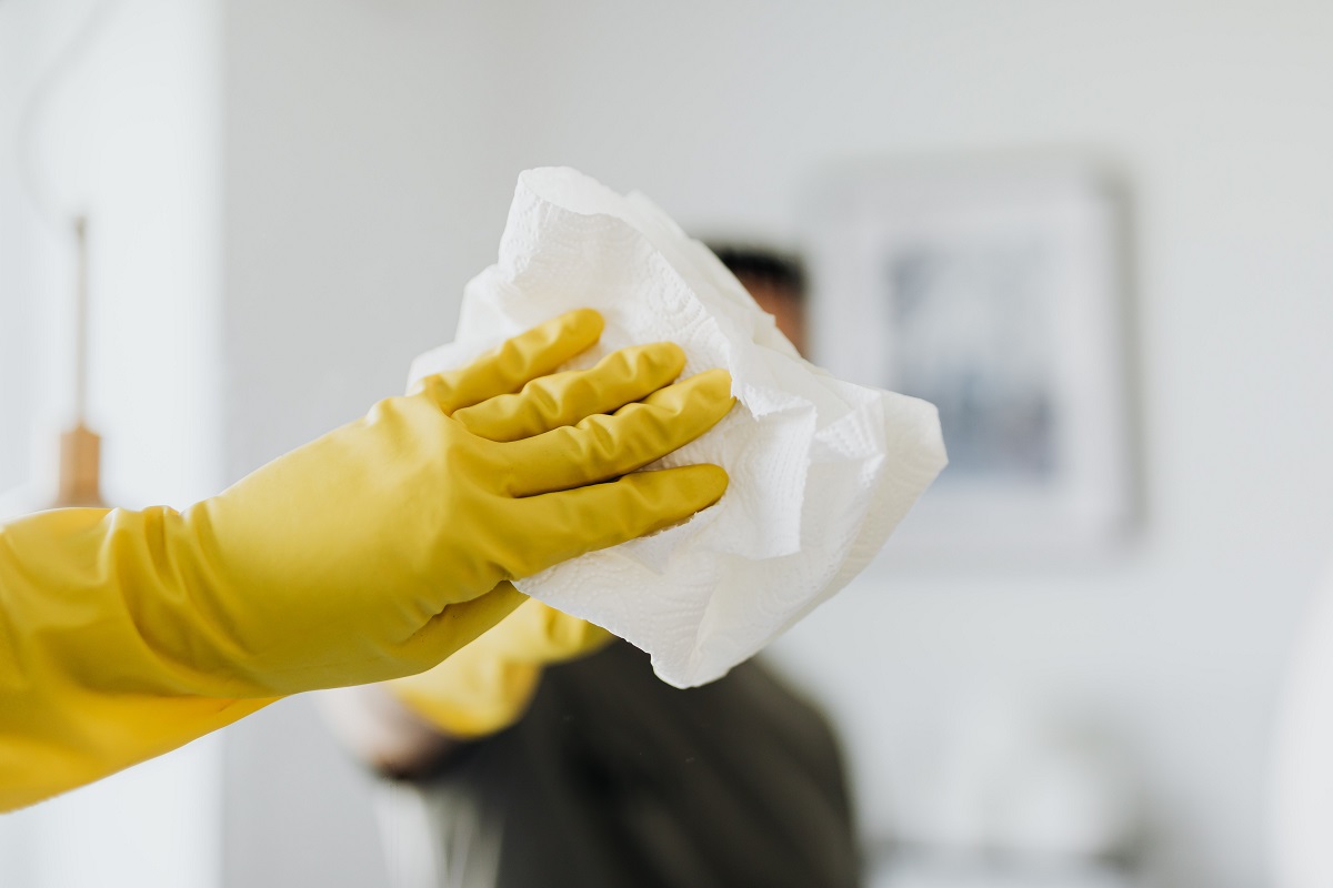 Limpiacristales - Utensilios de limpieza para un resultado profesional